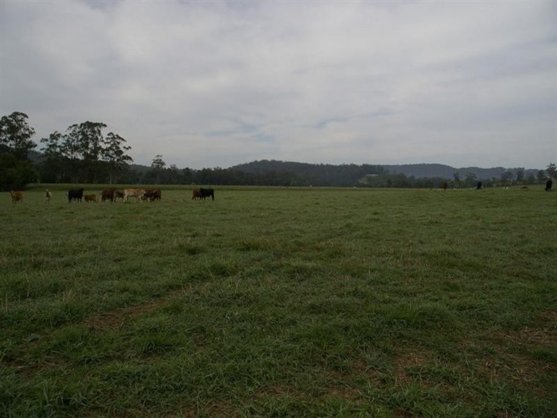 Maroochy River QLD 4561