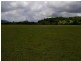 Yandina QLD 4561