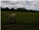 Yandina QLD 4561