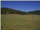 Yandina QLD 4561