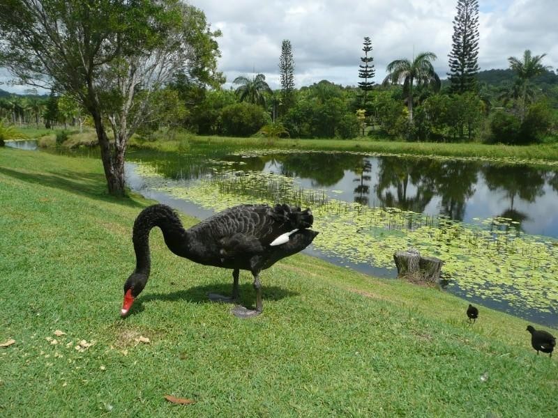 35 Kathleen Drive, Bli Bli QLD 4560