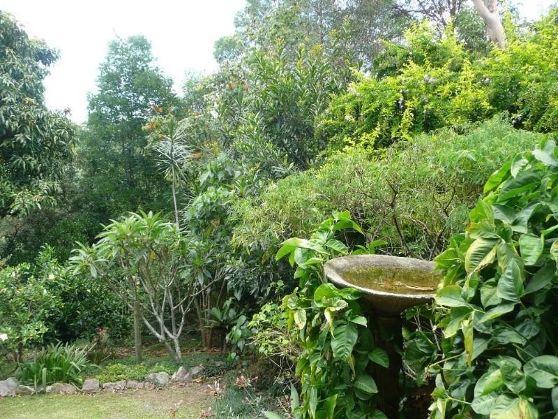 23 Conway Court, Bli Bli QLD 4560