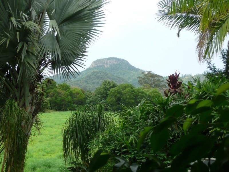 82 Thompsons Road, Maroochy River QLD 4561