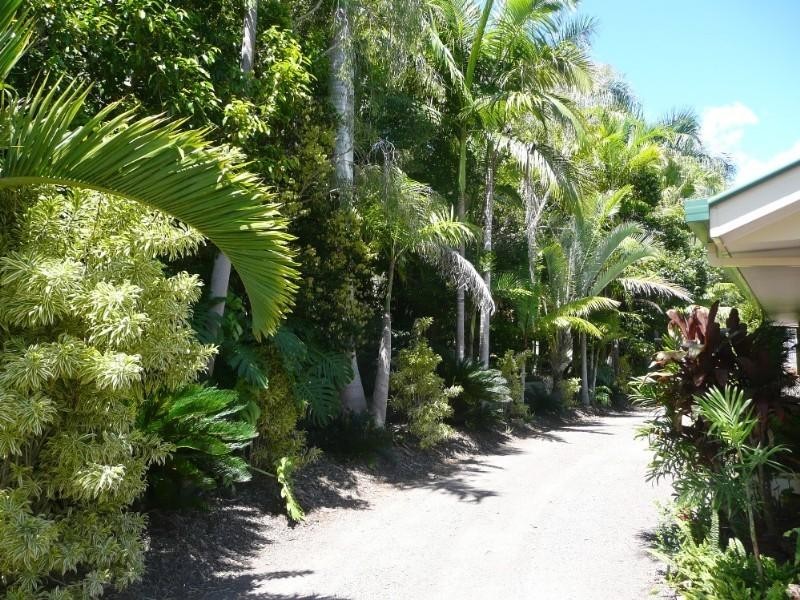 82 Thompsons Road, Maroochy River QLD 4561