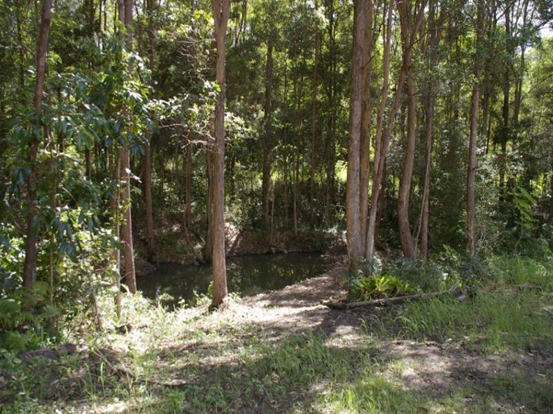 11 Kirrawood Court, Maroochy River QLD 4561