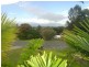 17 Ingle Court, Bli Bli QLD 4560