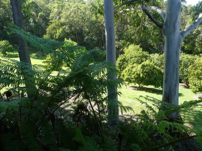 75 Highlands Hill Road, Maroochy River QLD 4561