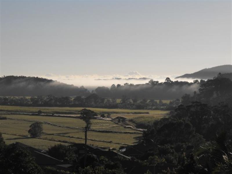 35 Clementine Place, Bli Bli QLD 4560