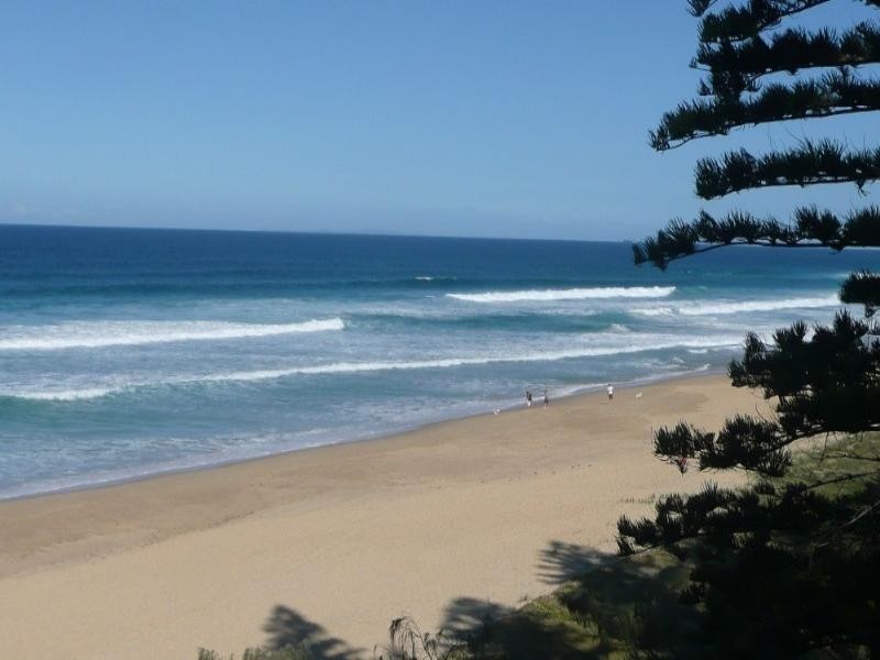 29 Beltana Crescent, Buddina QLD 4575