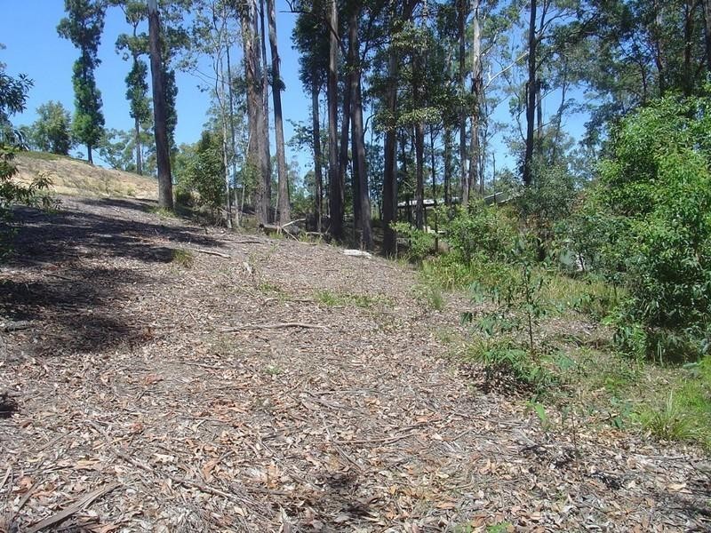 215 Mons School Road, Buderim QLD 4556