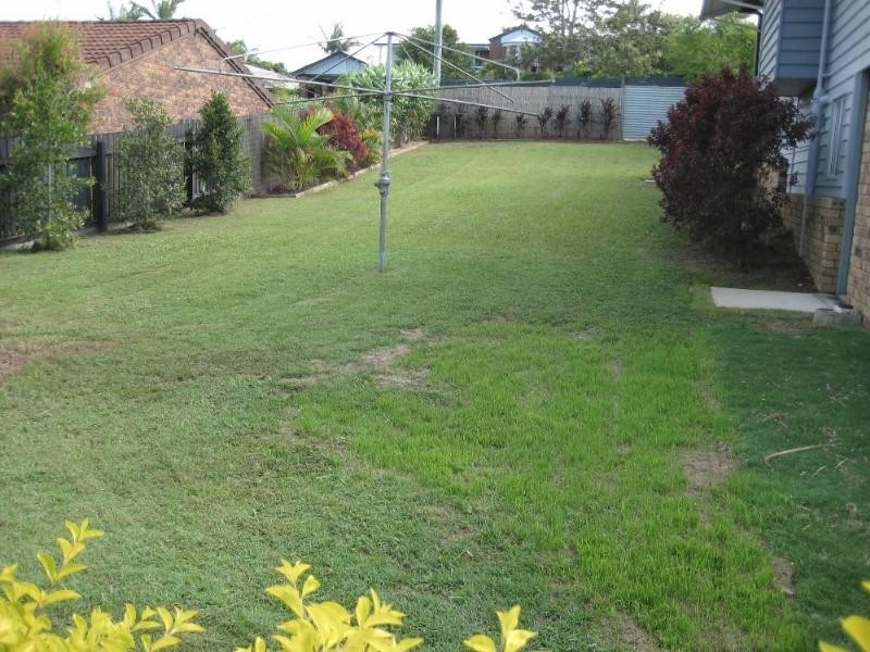 6 Princess Drive, Bli Bli QLD 4560