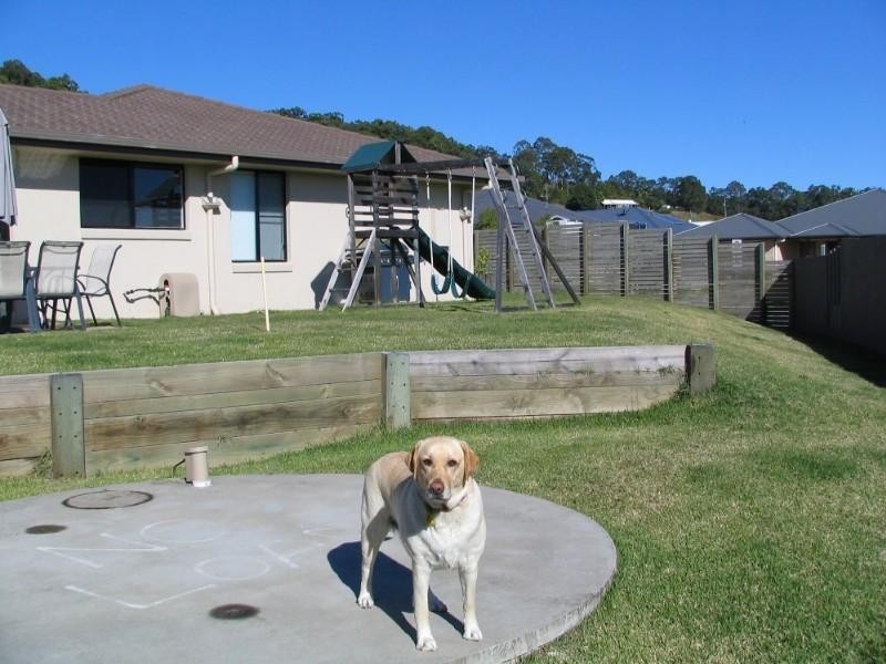 1 Kikuyu Street, Bli Bli QLD 4560