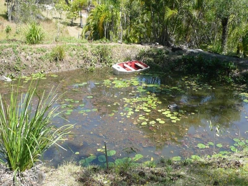 Maroochy River QLD 4561