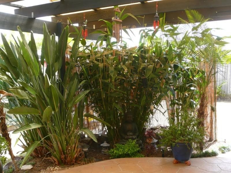 18 Bellevue Street, Bli Bli QLD 4560