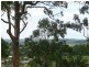 17B Mc Call Place, Bli Bli QLD 4560