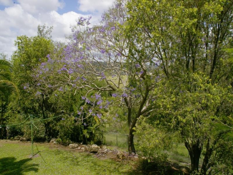 15 Conway Court, Bli Bli QLD 4560