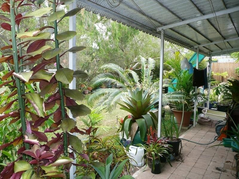 8 Princess Drive, Bli Bli QLD 4560