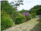 31 Clementine Place, Bli Bli QLD 4560