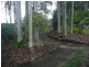 119 Camp Flat Road, Bli Bli QLD 4560