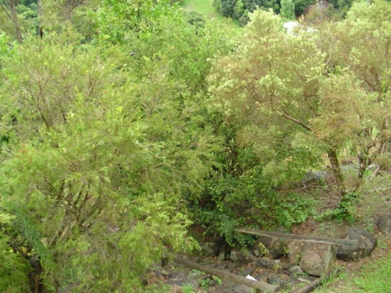 81 Camp Flat Road, Bli Bli QLD 4560