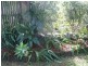 22 Riverview Street, Bli Bli QLD 4560