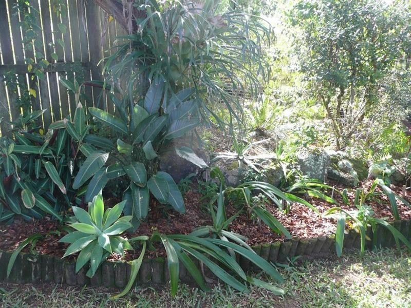 22 Riverview Street, Bli Bli QLD 4560