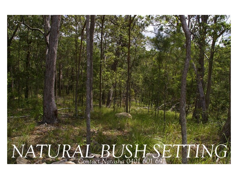 Lot 6 Skiel Court, Maroochy River QLD 4561