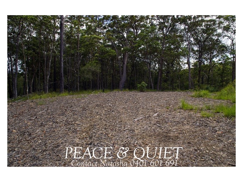 Lot 6 Skiel Court, Maroochy River QLD 4561