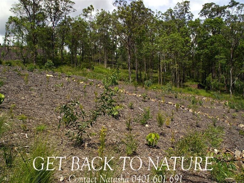 Lot 3 Skiel Court, Maroochy River QLD 4561