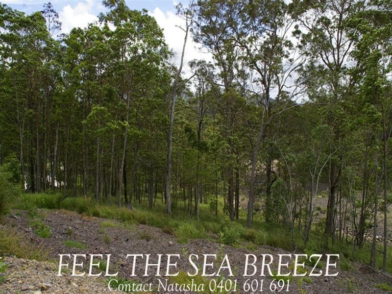 Lot 3 Skiel Court, Maroochy River QLD 4561