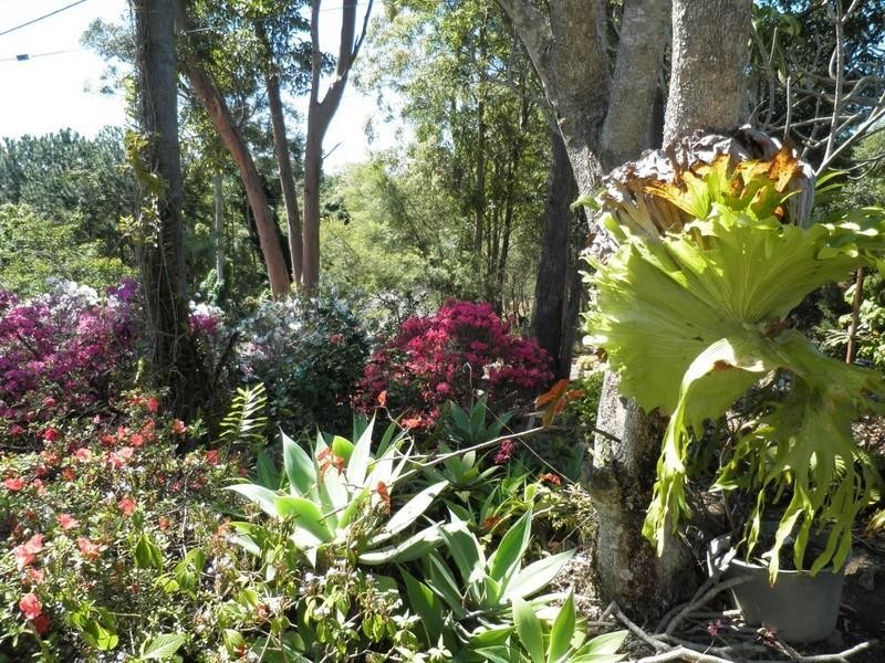 90 Francis Road, Bli Bli QLD 4560