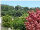 61 Clearwater Circuit, Bli Bli QLD 4560