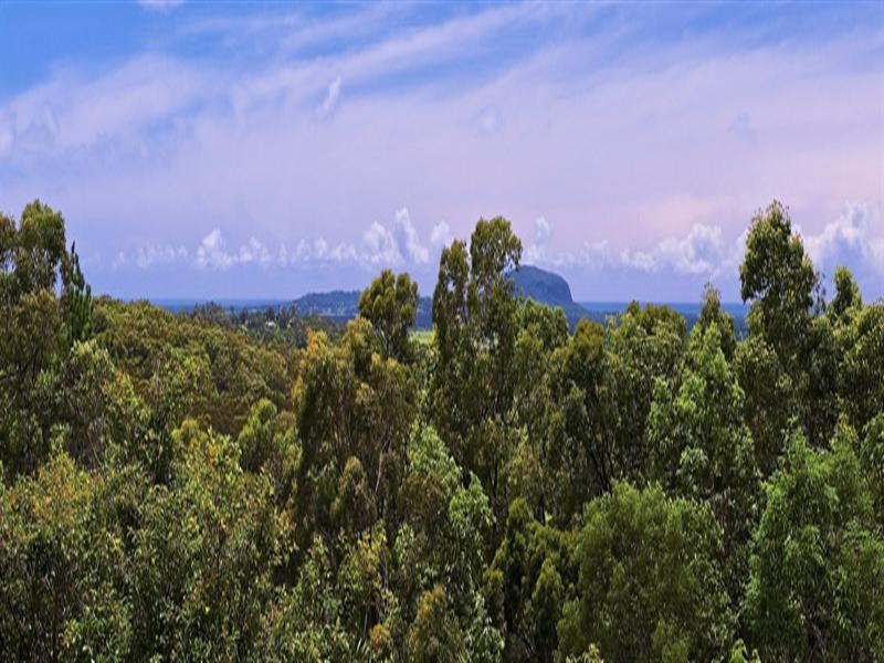 96 Atkinson Road, Bli Bli QLD 4560