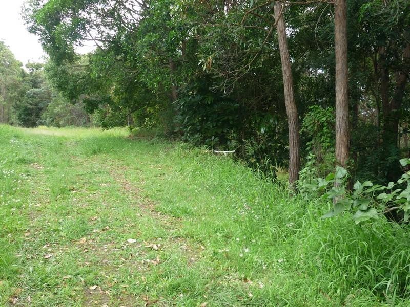 5 cygnus Place, Bli Bli QLD 4560