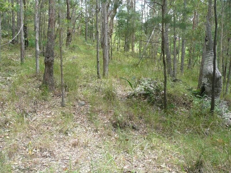 5 cygnus Place, Bli Bli QLD 4560