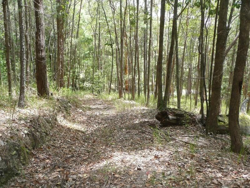 5 cygnus Place, Bli Bli QLD 4560