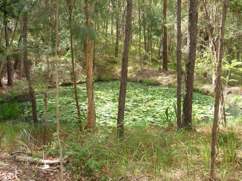 5 cygnus Place, Bli Bli QLD 4560