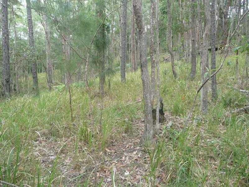 5 cygnus Place, Bli Bli QLD 4560