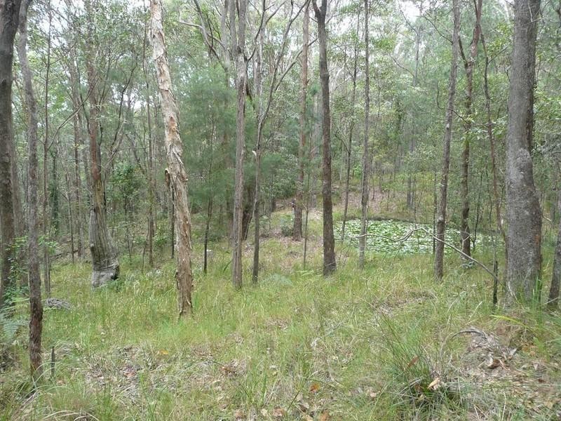 5 cygnus Place, Bli Bli QLD 4560