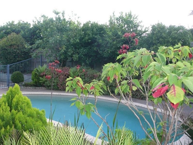 17 Bellevue Street, Bli Bli QLD 4560