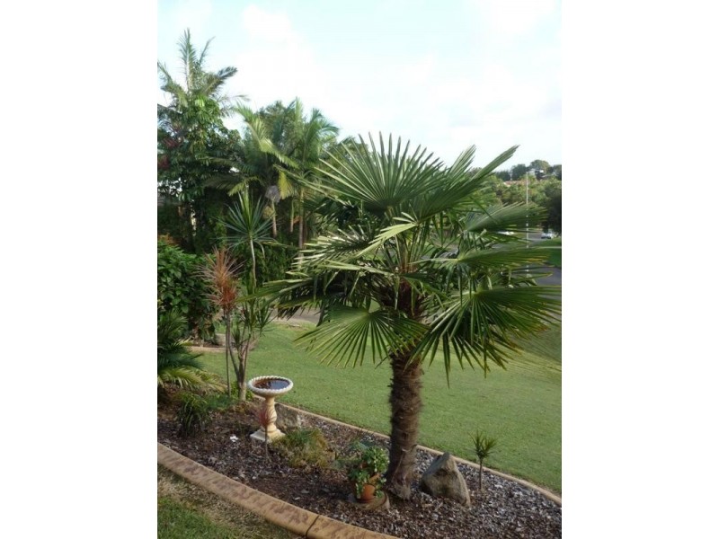 17 Ingle Court, Bli Bli QLD 4560