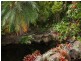104 Camp Flat Road, Bli Bli QLD 4560