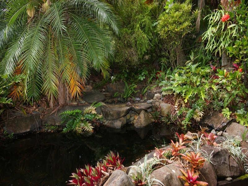 104 Camp Flat Road, Bli Bli QLD 4560