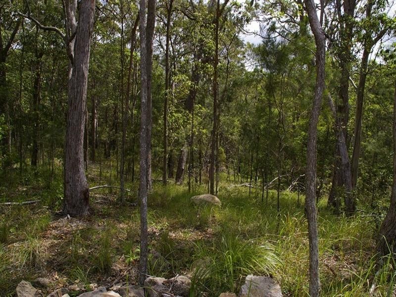 Lot 6 Skiel Court, Maroochy River QLD 4561