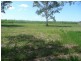 Lot 14 Godfreys Avenue, Bli Bli QLD 4560