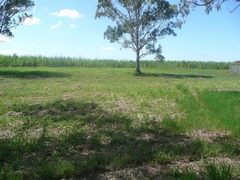 Lot 14 Godfreys Avenue, Bli Bli QLD 4560