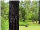 117 Kirra Road, Bli Bli QLD 4560