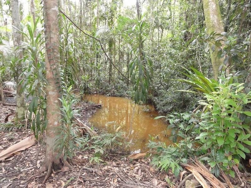 Kiels Mountain QLD 4559