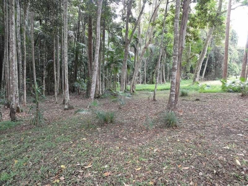 Kiels Mountain QLD 4559