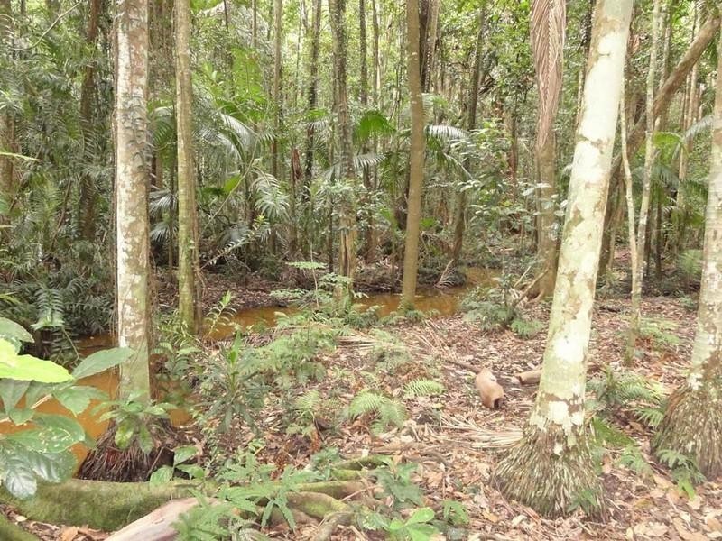 Kiels Mountain QLD 4559